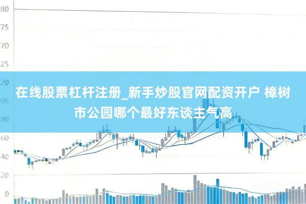 在线股票杠杆注册_新手炒股官网配资开户 樟树市公园哪个最好东谈主气高